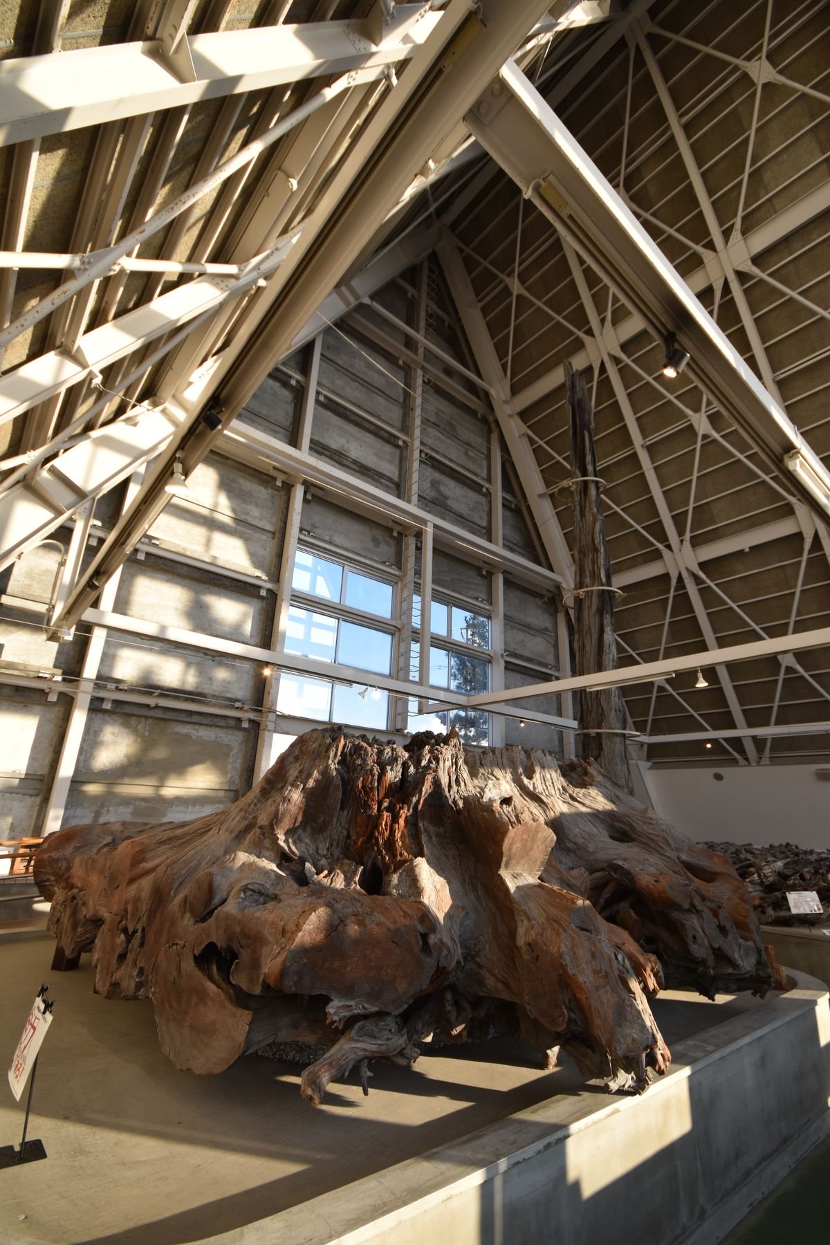 🏛️ 기사카타 향토 자료관 (키사카타 쿄도 시료칸) 이미지 4